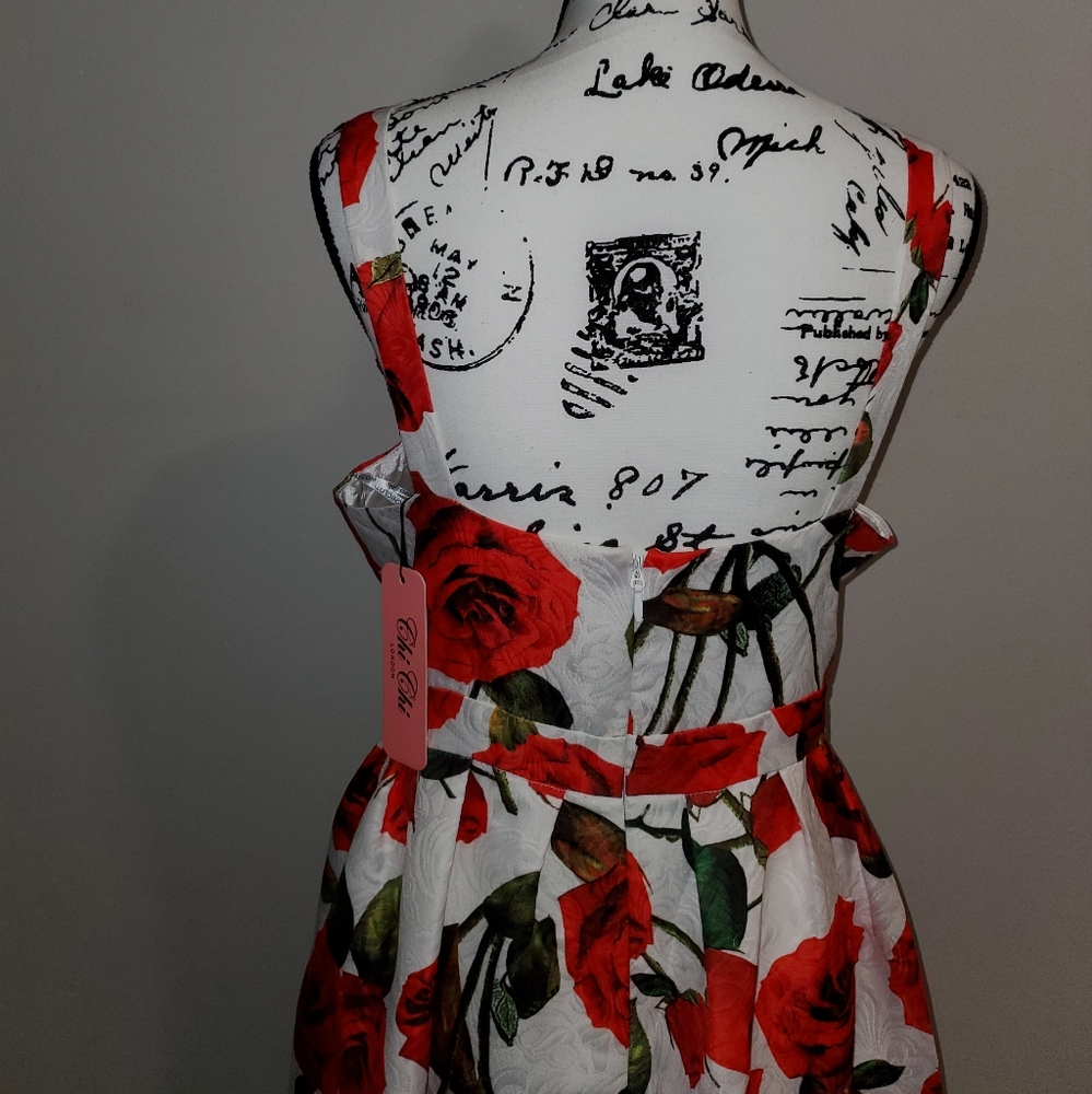 ModCloth Unique Vintage Chi Chi London High Tea Red Rose Formal Dress Size 20 - Picture 12 of 16